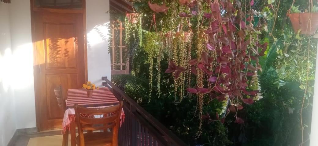 Jungle View One Bedroom Private Apartment Unawatuna Eksteriør billede